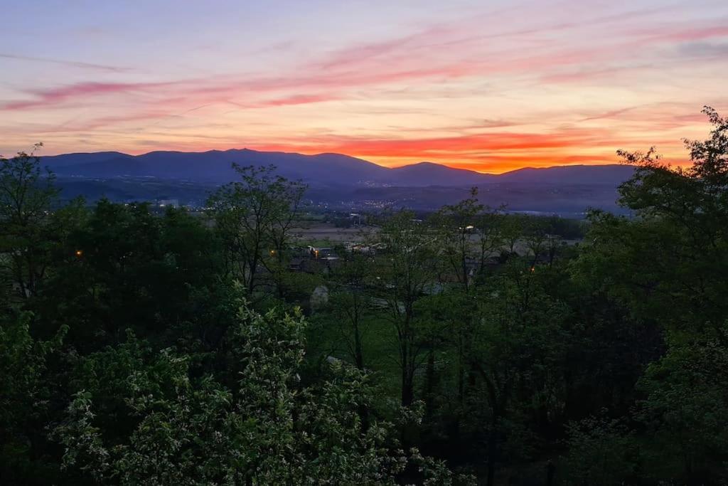 Gite De 70M² Avec Vue Sur Le Massif Du Pilat Clonas-sur-Varèze Kültér fotó