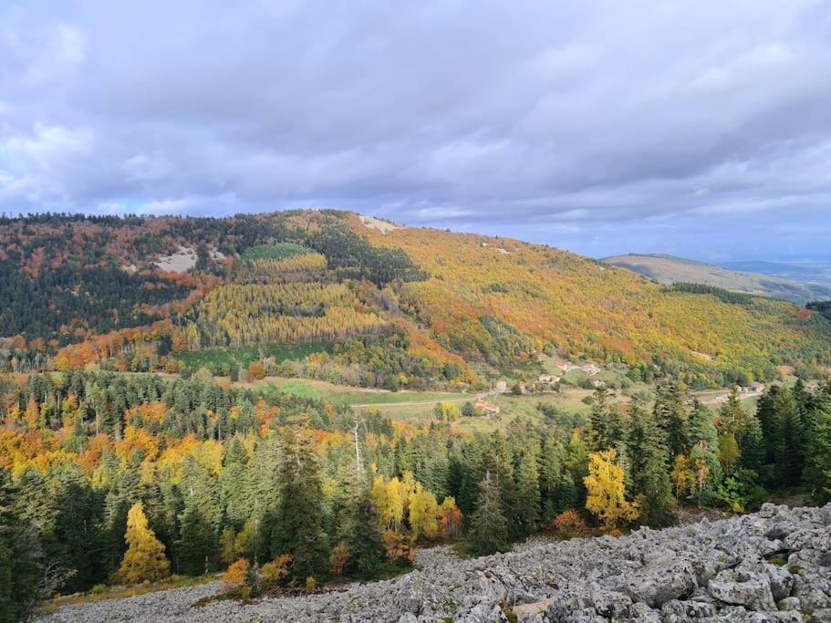 Gite De 70M² Avec Vue Sur Le Massif Du Pilat Clonas-sur-Varèze Kültér fotó
