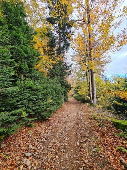 Gite De 70M² Avec Vue Sur Le Massif Du Pilat Clonas-sur-Varèze Kültér fotó