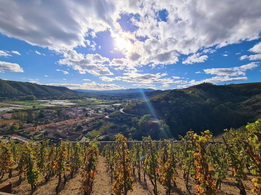 Gite De 70M² Avec Vue Sur Le Massif Du Pilat Clonas-sur-Varèze Kültér fotó